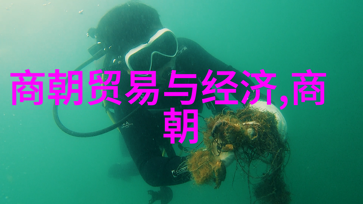 建立新都明朝宫廷的规划与建筑艺术