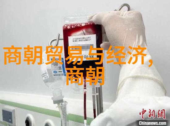 明代帝王谱系龙脉续写的辉煌与沉浮