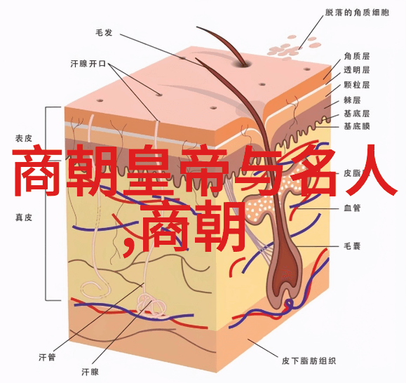 宋朝简介及历史概述-东方明珠宋代的辉煌与变迁
