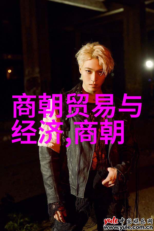 辽阔的历史探索元朝的外来根源