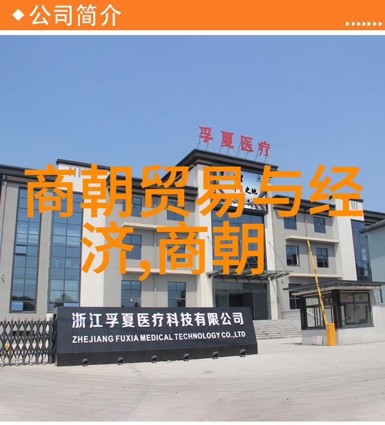 明朝覆灭之路由盛转衰的历史征程