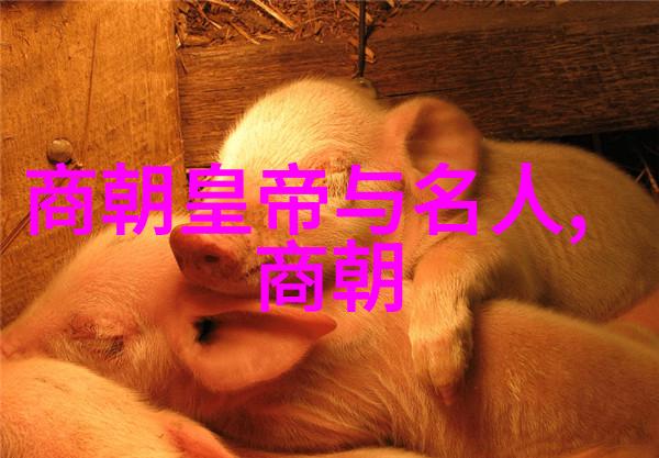 明朝历史奇谭录揭秘古代皇权斗争与宫廷诡计