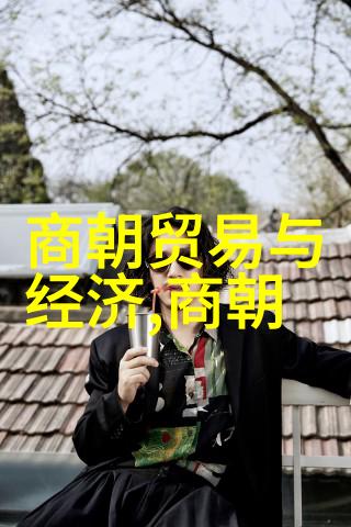 碧波荡漾元代历史的沉浮变换