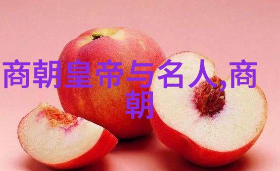 南明朝-重建江山南明朝历代君主顺序列表