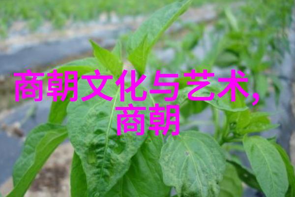 春秋之世建立的时间人与都城的篇章