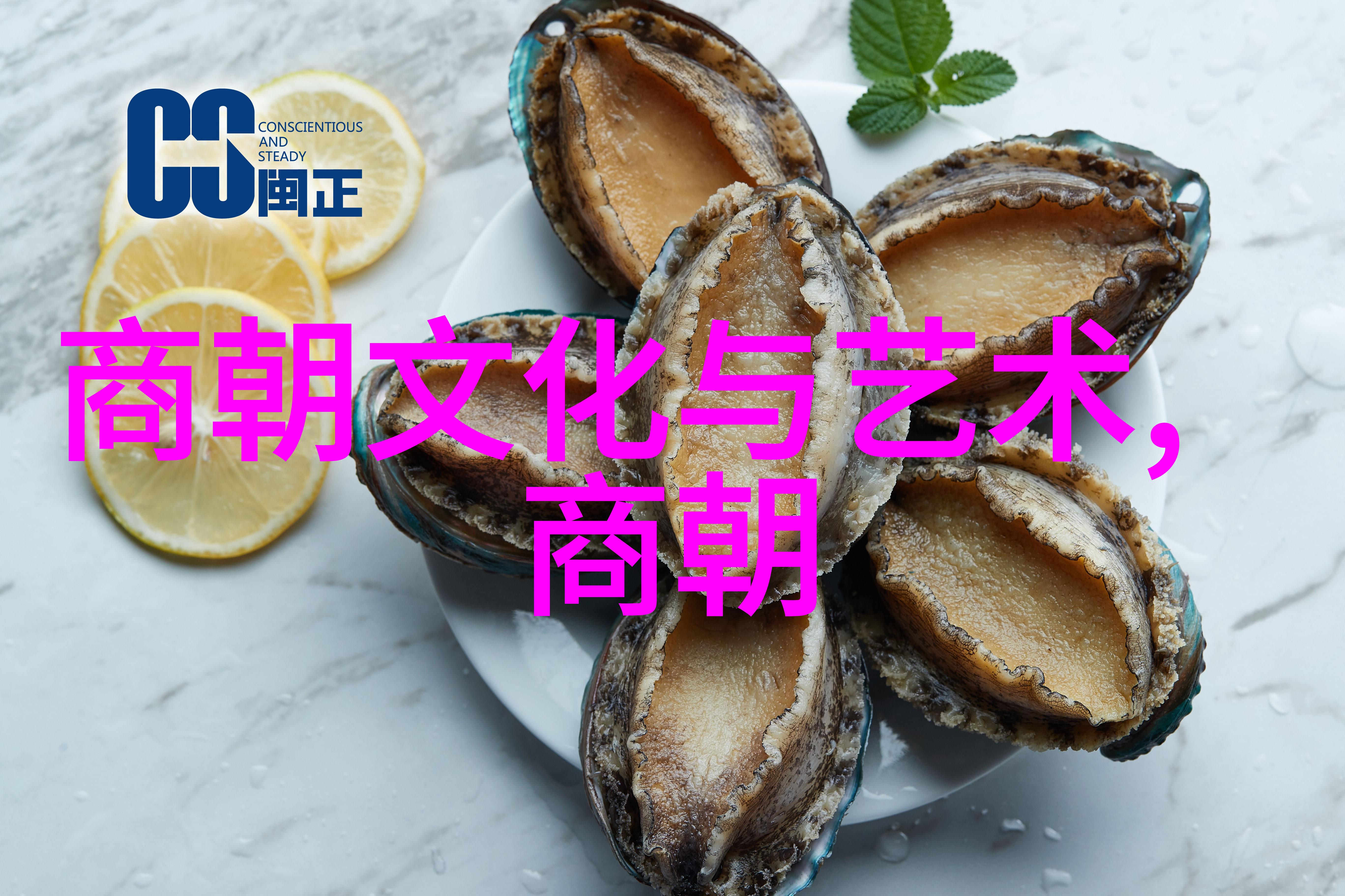 大清朝序变从康乾盛世到道光末年的衰落