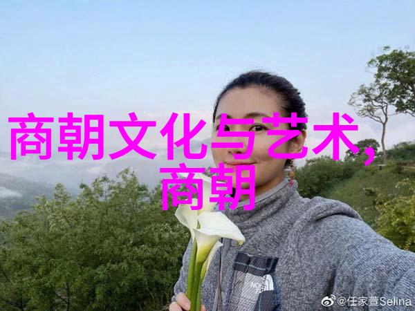 宋朝一览表繁华与凋零