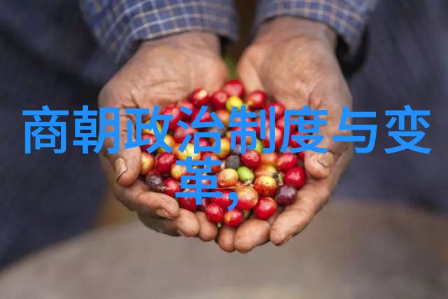 明朝最好的帝王朱元璋的治世平安明朝开国皇帝朱元璋的成就与风采