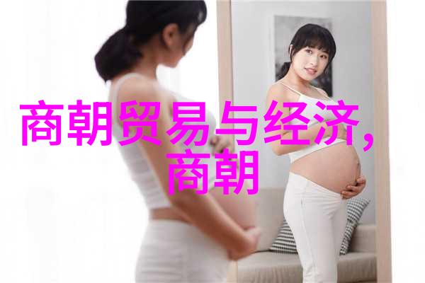 宋朝算大一统的王朝吗中国历史宋朝统一王朝论述