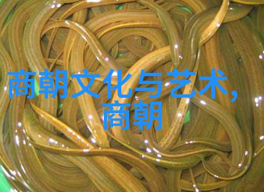 明朝皇帝列表历代君主的光辉与风云
