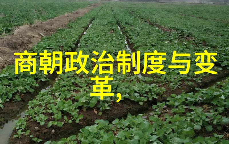 裴艳玲与王珮瑜的综艺节目中物品互动让人啧啧称奇