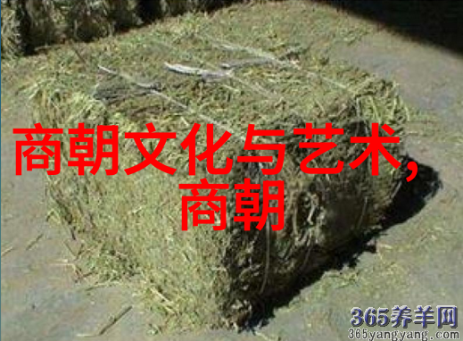 明清垃圾考哪朝更为有识