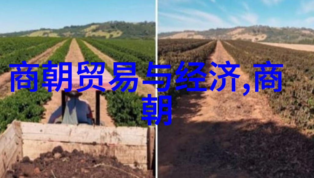 中国历史朝代数量考辨从黄帝时期到清末的王朝更迭探究