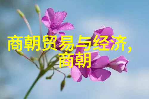 明朝那些事的历史与现实解读下架背后的文化法律与市场因素