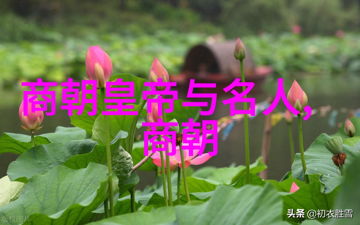 神话与历史的交织盘古女娲伏羲神农三皇五帝的传说故事