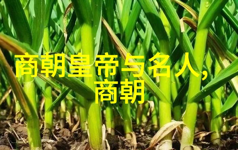 南朝的历史大事件简史
