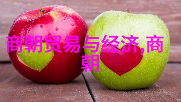 南宋历史简介20字-江南沦亡国祚终落