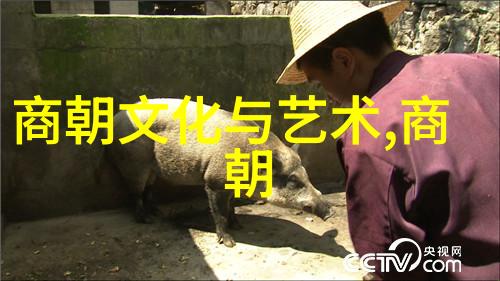 中国历史上的智者与勇士探索传统文化的精髓