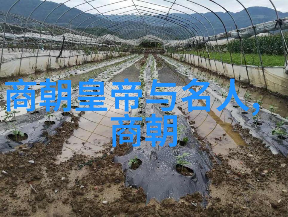 北宋灭辽大战与南宋抗金斗争的历史篇章