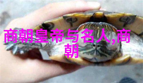 明朝最厉害的三个人-龙争虎斗揭秘明朝最为威猛的三大枭雄