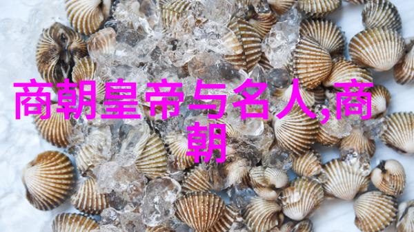 明朝开国皇帝朱元璋篡夺王位明朝的创立与权力斗争