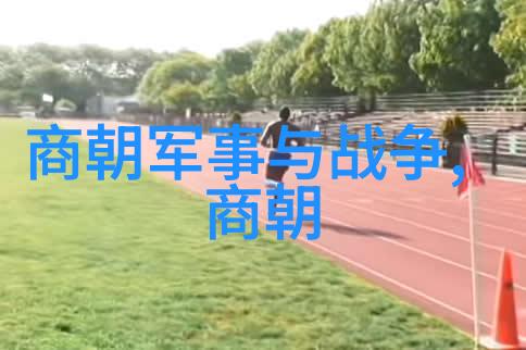 金辉煌与元鼎立1206与1271的历史交响