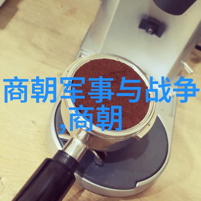 疫疫自然灾害和环境破坏天灾人祸共同摧毁了元帝国