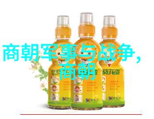 明朝中后期政治动荡及其对皇权排名的影响