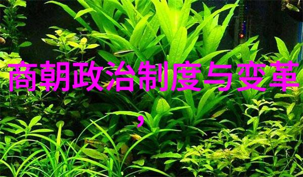 明朝时期政权结构概览