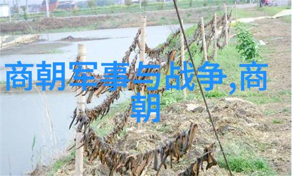 东西两晋南北朝历史中的铁血英雄孛儿只斤术赤(11771225)