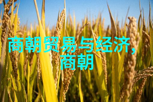 宋明理学对明朝政治和文化的深远影响分析