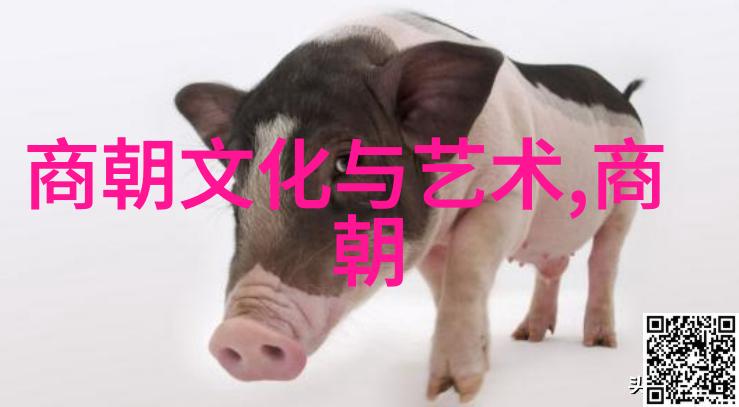穿梭古今历代帝王的辉煌与沉浮