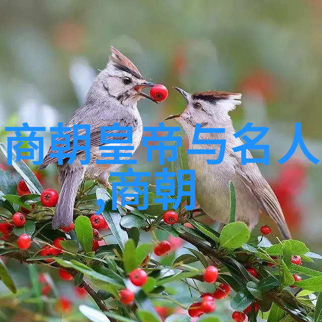 我国为什么不拍元朝电视剧 - 历史的篇章解析我国对元朝电视剧的忽视