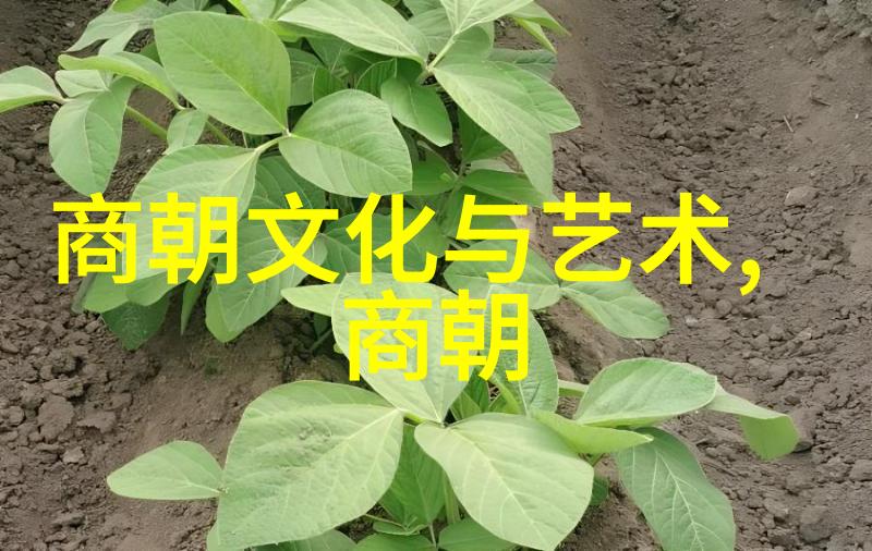 W的世界探索个性化阅读体验