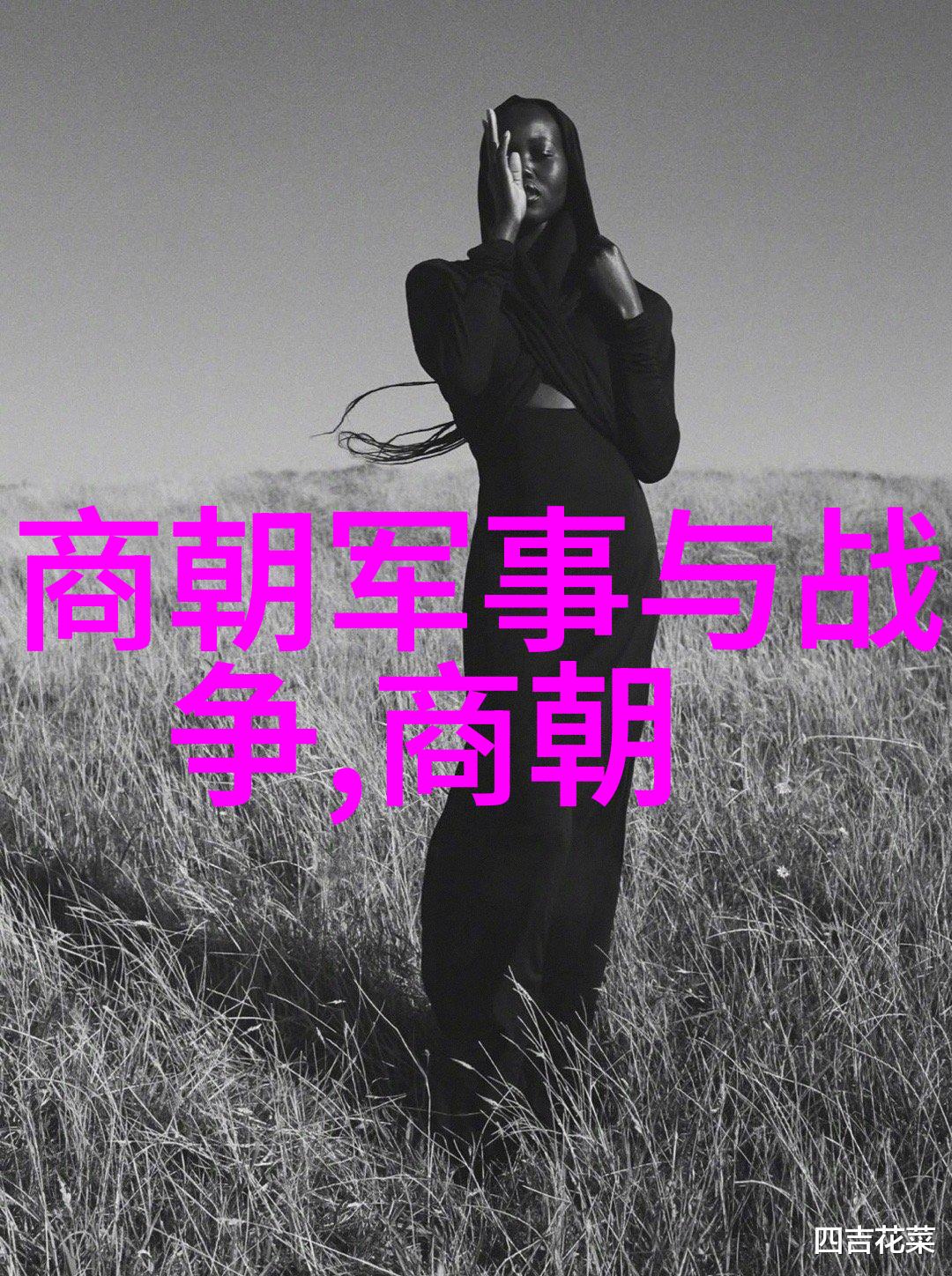 明朝时期的重大变革与冲突战乱与改革的交织