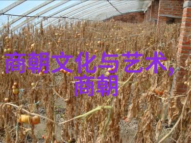 北周为什么要禅让给杨坚老子为何把江山交给了那位杨公