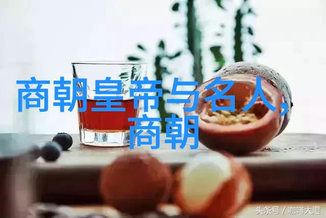 宋朝帝王笑谈录从太宗到光宗穿越千年笑声