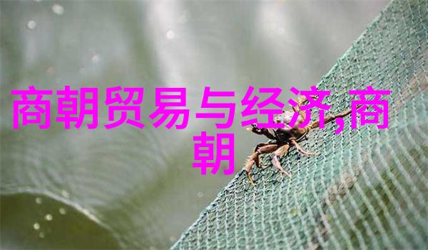 龙脉长存中国历史简图探秘