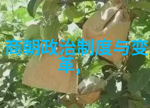 明朝咱们来聊聊它的故事吧