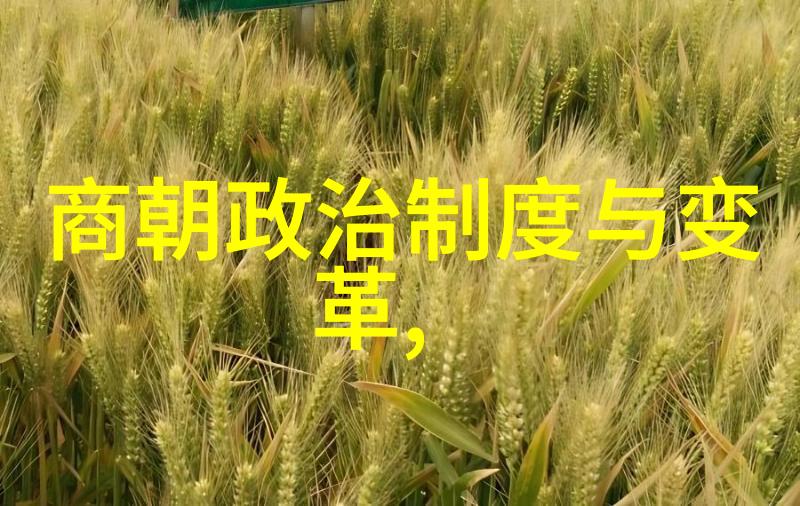 东晋末年至隋末的政治演变与文化遗产从五胡乱世到唐宋兴衰