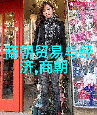 明朝疆域辉煌帝影之下国界之变