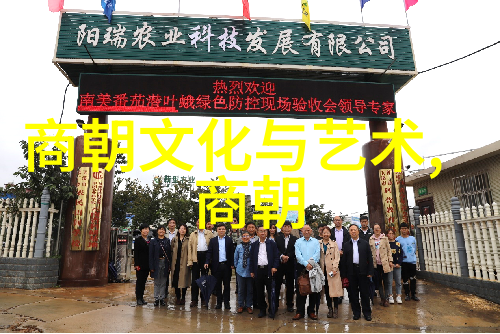 帝位交接的暗影康熙与雍正的命运之争