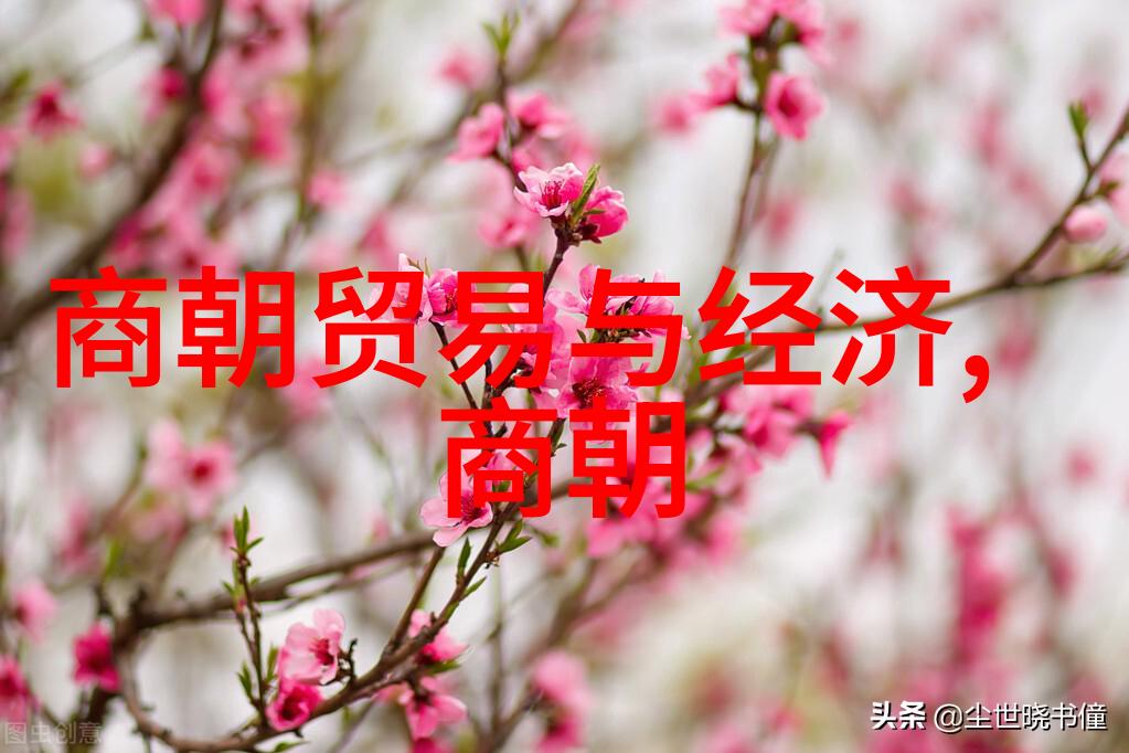 忽必烈的汗国遗忘的大帝国之谜