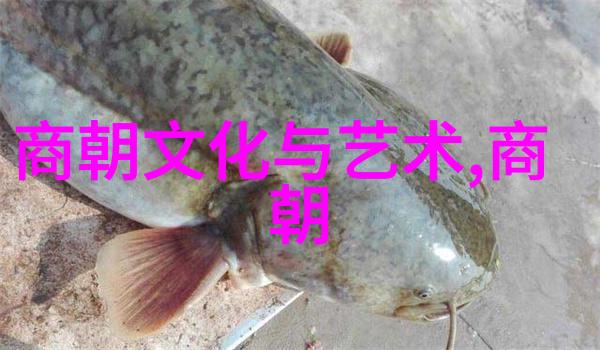 明朝十六任帝王排名-清算历史重塑明代君主的光辉与阴影