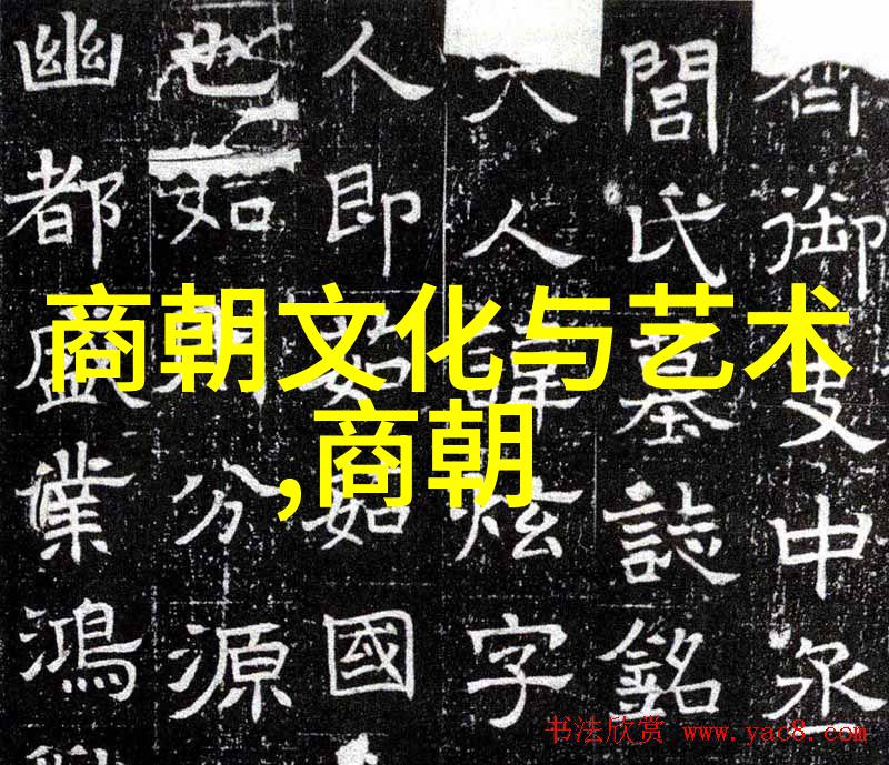 唐人街为何称作因为有唐朝的小闲人在国外住下了