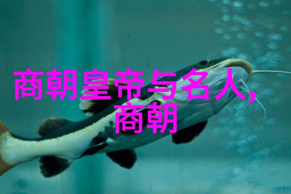 书法家鲁进财挥毫泼墨书写出一部内容丰富的字体大全