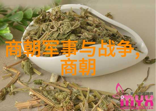 明朝四大奇案中的十大悬案荣耀与悲剧交织的命运之轮