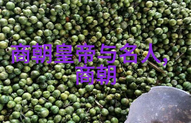 穿越历史的迷雾揭秘最诡异的朝代