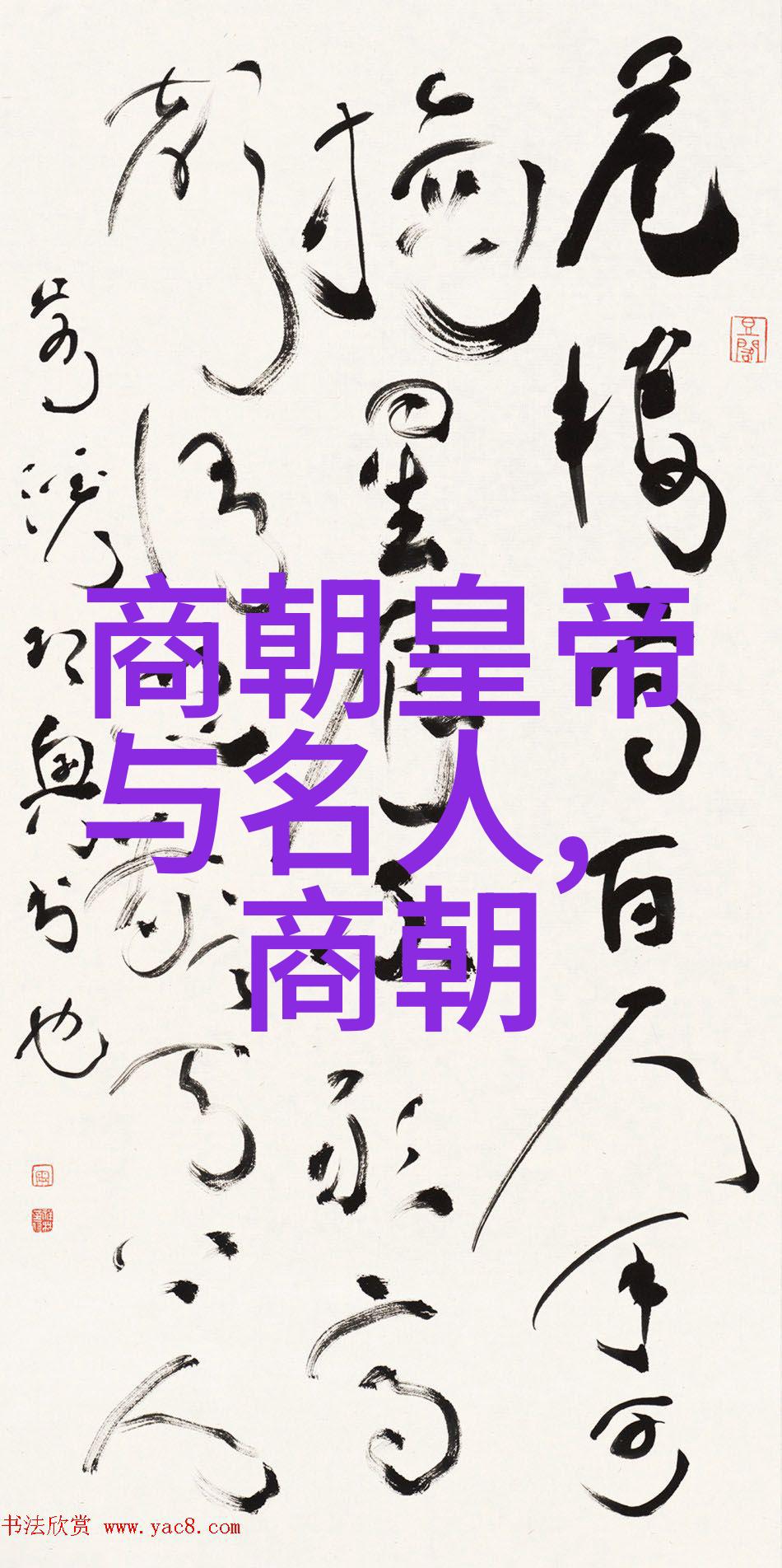 孟丽君黄梅戏文化之光第六届艺术节盛宴