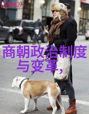 明代经济生活商业发展与社会变迁